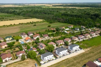 Forest-Vista-Teghes-Domnesti