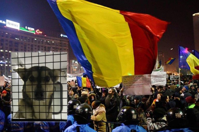 Wendys-Mega-Mall-Bucuresti